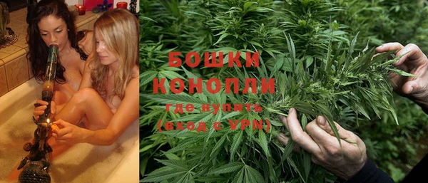 дурь Алзамай