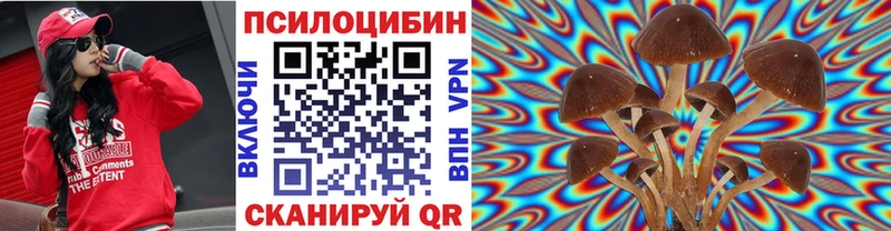цены   Данилов  Галлюциногенные грибы MAGIC MUSHROOMS 